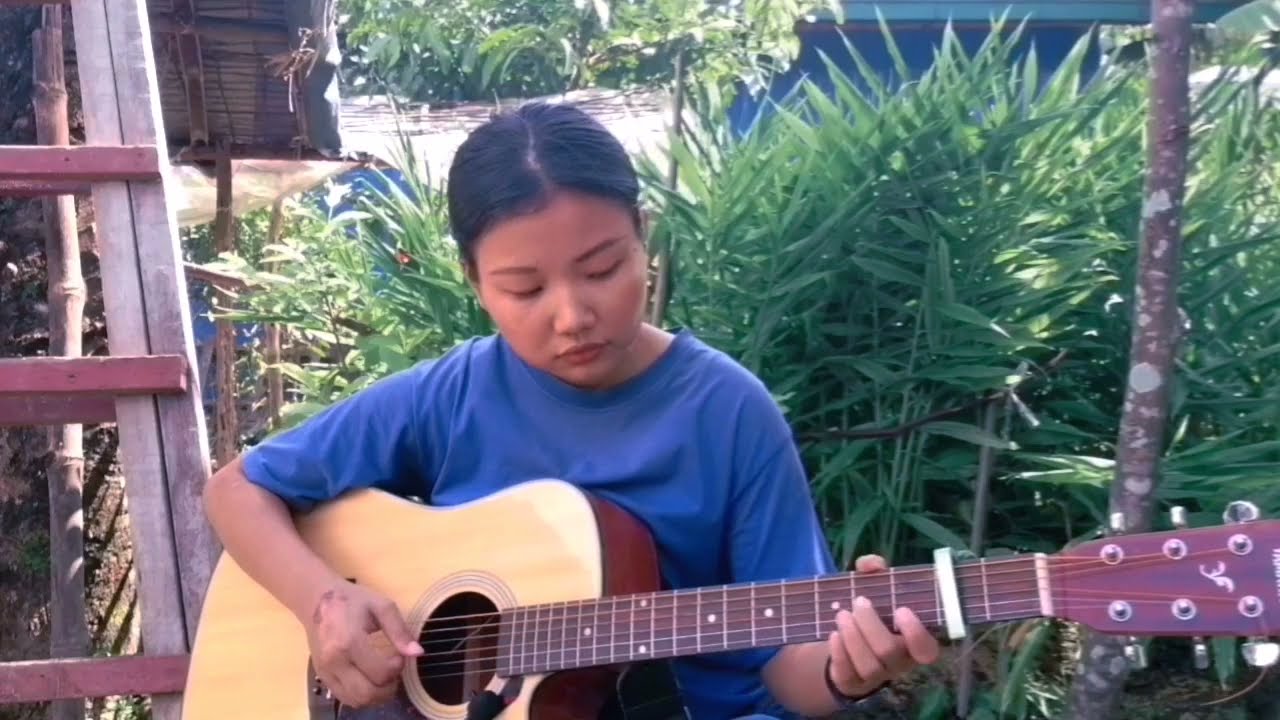 Don't be shy - Tiësto & Karol G ( Fingerstyle guitar cover)