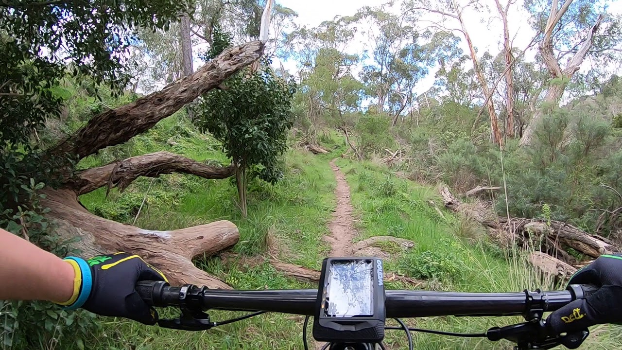 MYXO North Strava Segment Plenty Gorge