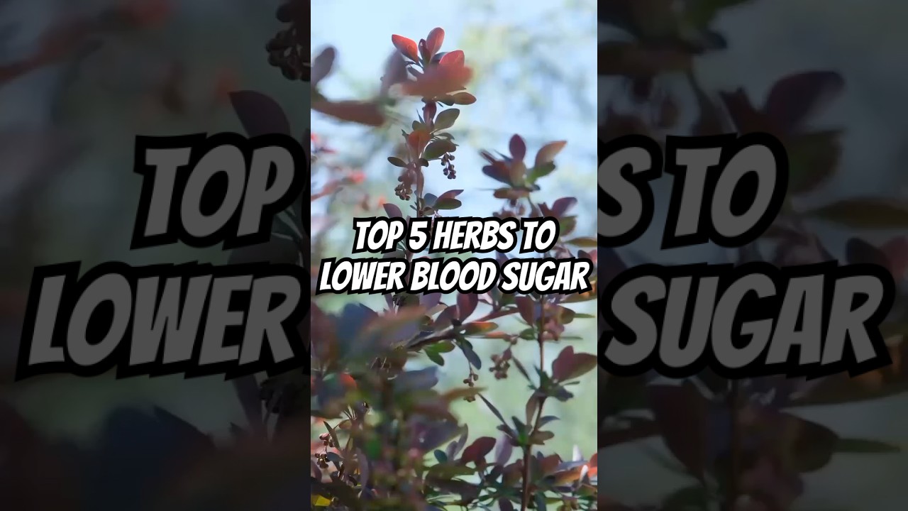 POWERFUL Herbs to Lower Blood Sugar Naturally! #healthtips #bloodsugar #herbalmedicine #diabetes