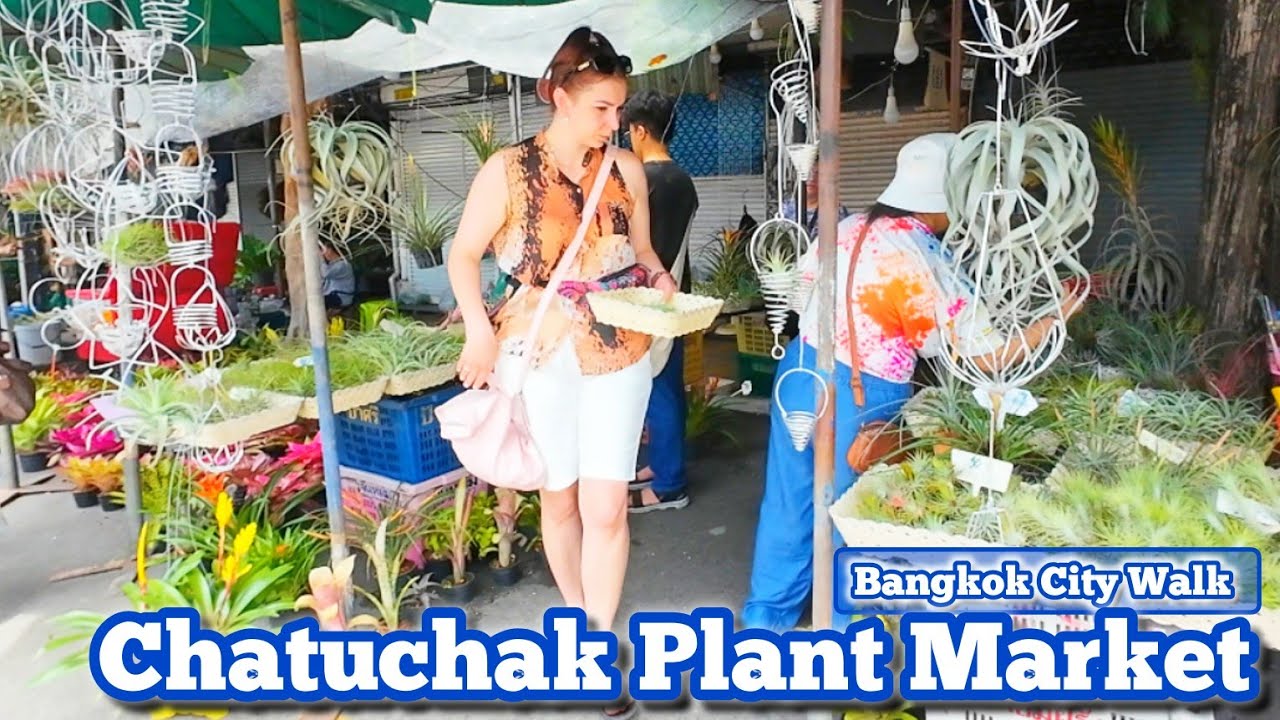 4K 🇹🇭 Bangkok City Walking Tour, Chatuchak​ Plant​ Market​ #allaboutbangkok #thailand​ #bangkok​​