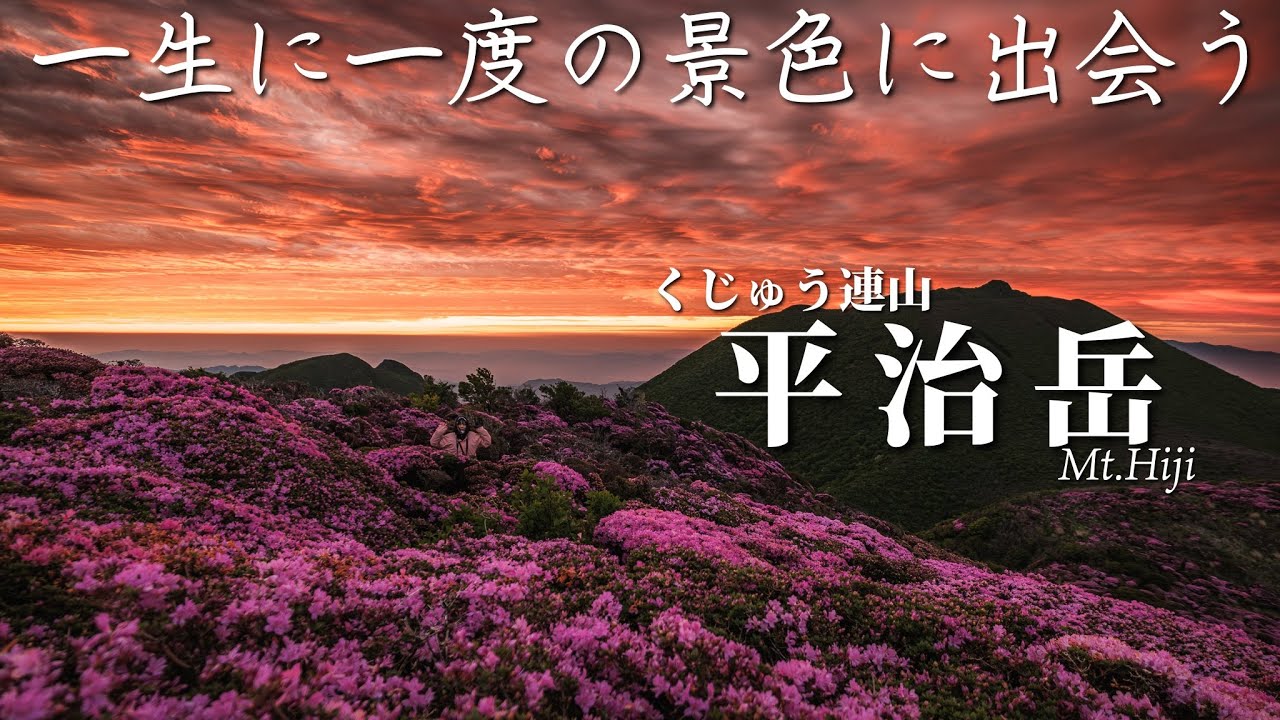 【くじゅう連山】大当たり年で大当たり日の平治岳 ミヤマキリシマ｜あせび小屋泊