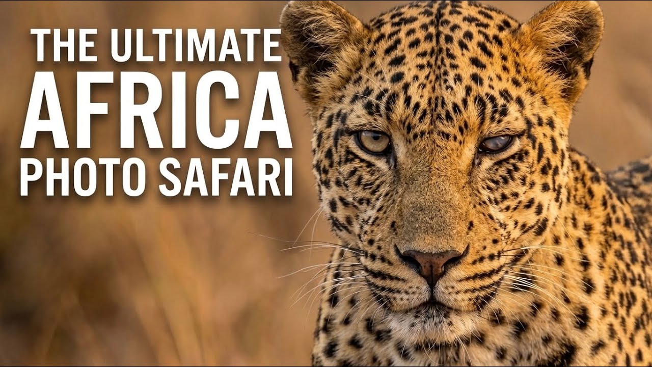 African Wildlife Photo Safari 2024 #travel #africa #animals