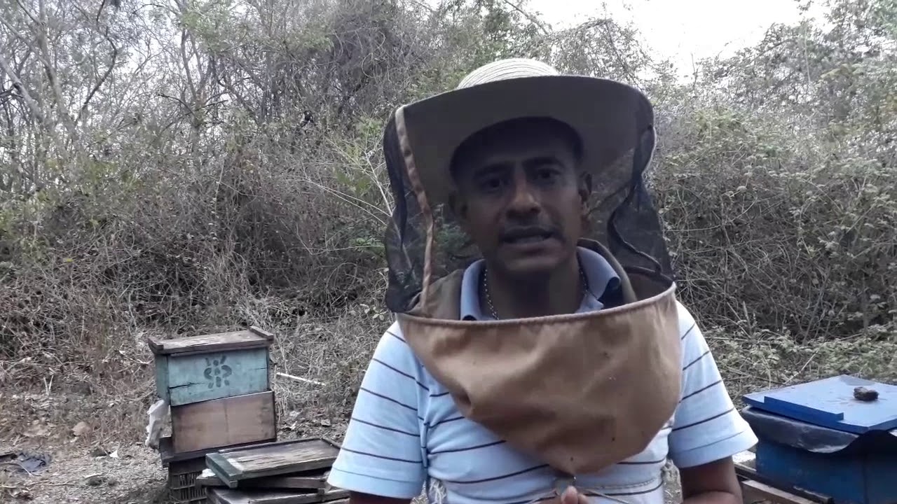Alimentacion con platano