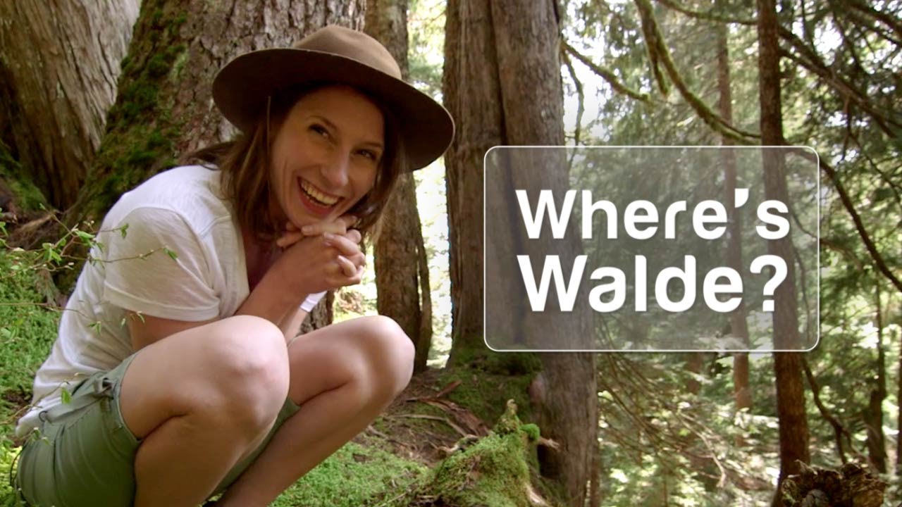 WHERE'S WALDE? - Episode 1 - "Dog Mountain"