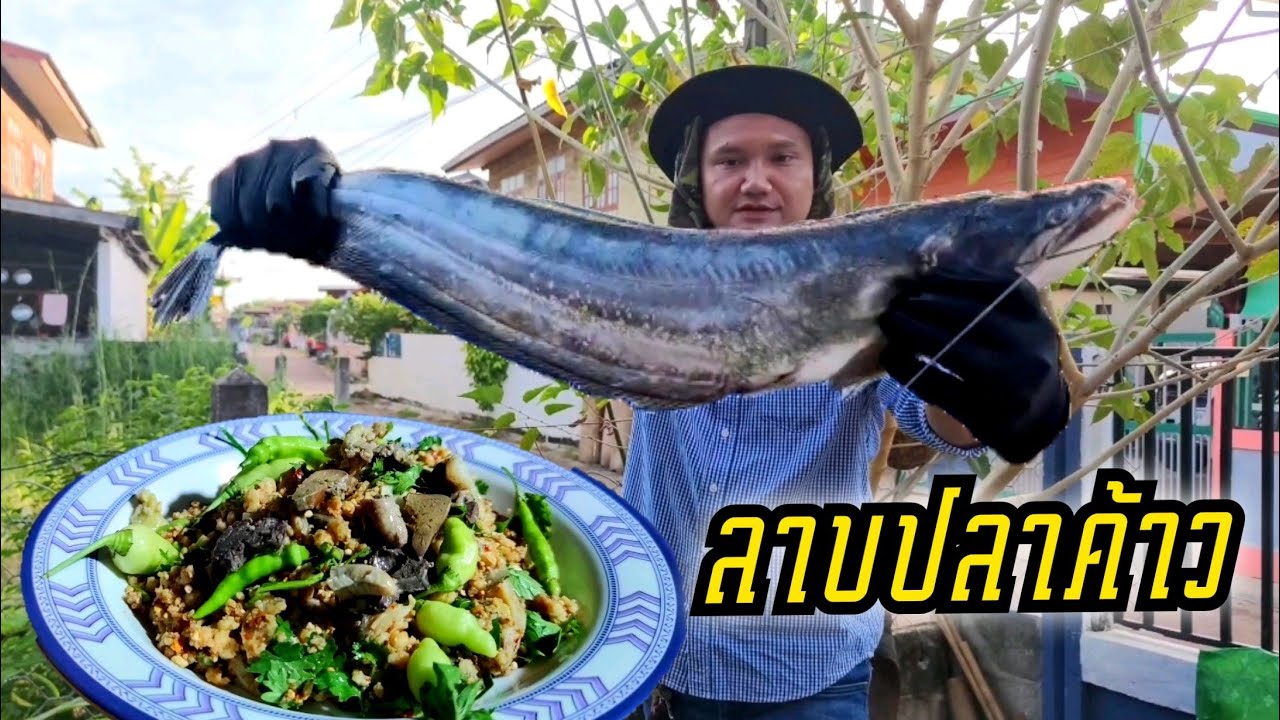 ลาบปลาค้าวแม่ไข่ เนื้อนุ่ม หนังกรึบ กระเพาะกรุบ ตับแน่นๆ ต้มซุปนัวๆ