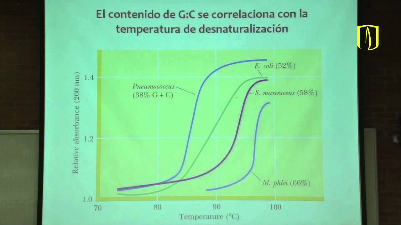 Transmisión de información en sistemas biológicos - Carlos Mendivil - Bioquímica Médica