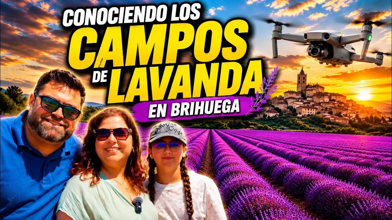 Un vuelo sobre el paraíso púrpura, campos de Lavanda.