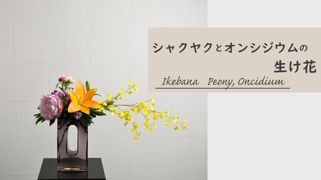 【シャクヤクとオンシジウムの生け花】紫のガラスの花瓶にお花を生けたよ カラフルなお花のアレンジの仕方 ikebana style class Japanese flower arrangement