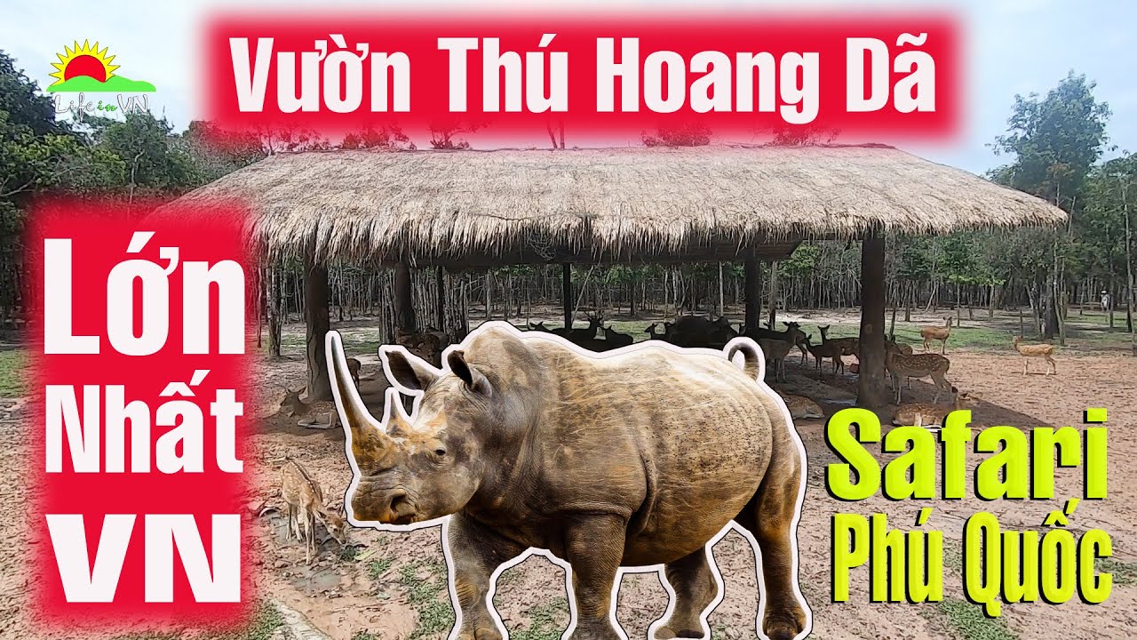 VinPearl Safari Phú Quốc 2020 | Vườn Thú bán hoang dã đầu tiên Việt Nam như thế nào? Life in VN