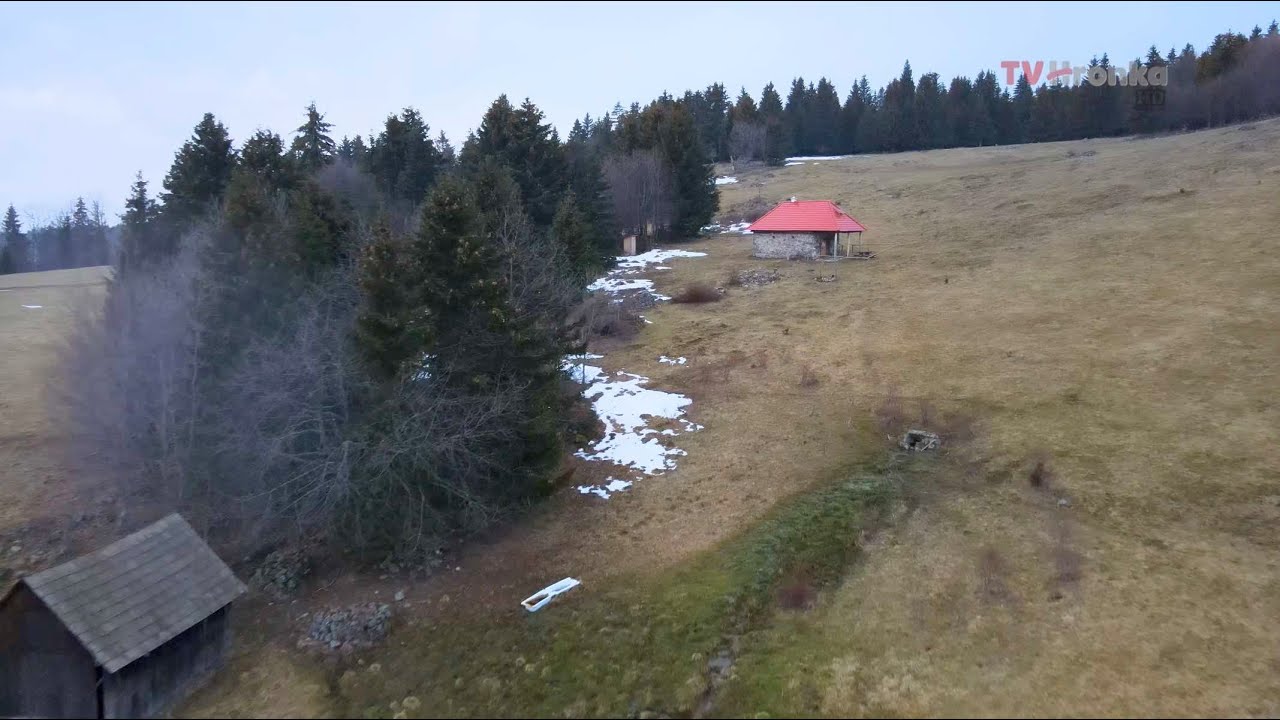 Útuľňa Poľana