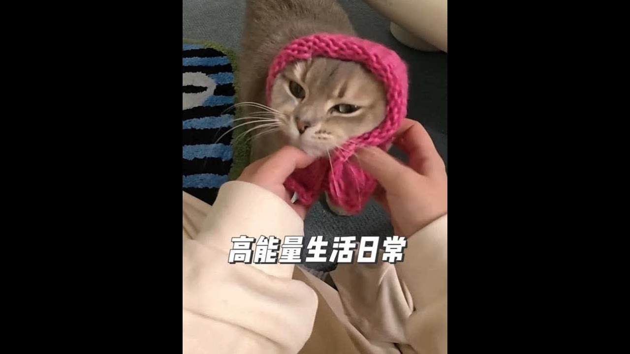 Vlog|记录下来我这一天还挺忙的~ #记录真实生活 #第一视角 #vlog日常 #沉浸式