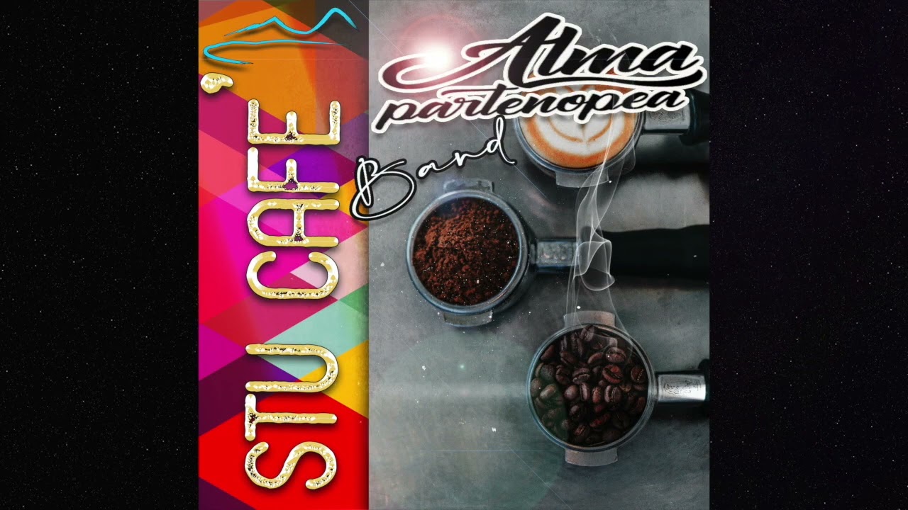 STU CAFE'