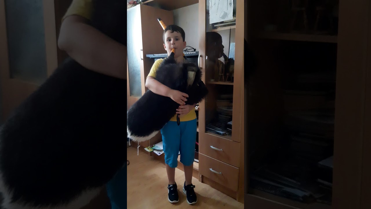 Gajda maestralna izvedba na Teodor Grujoski