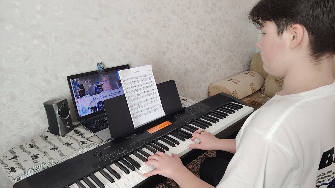 ЧСЛ.Сурок. Бетховен