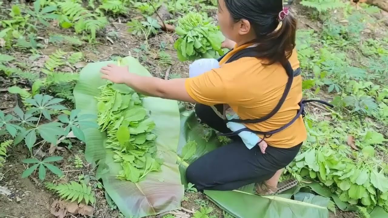 The girl harvests vegetables and fruits to sell at the market and cooks.
