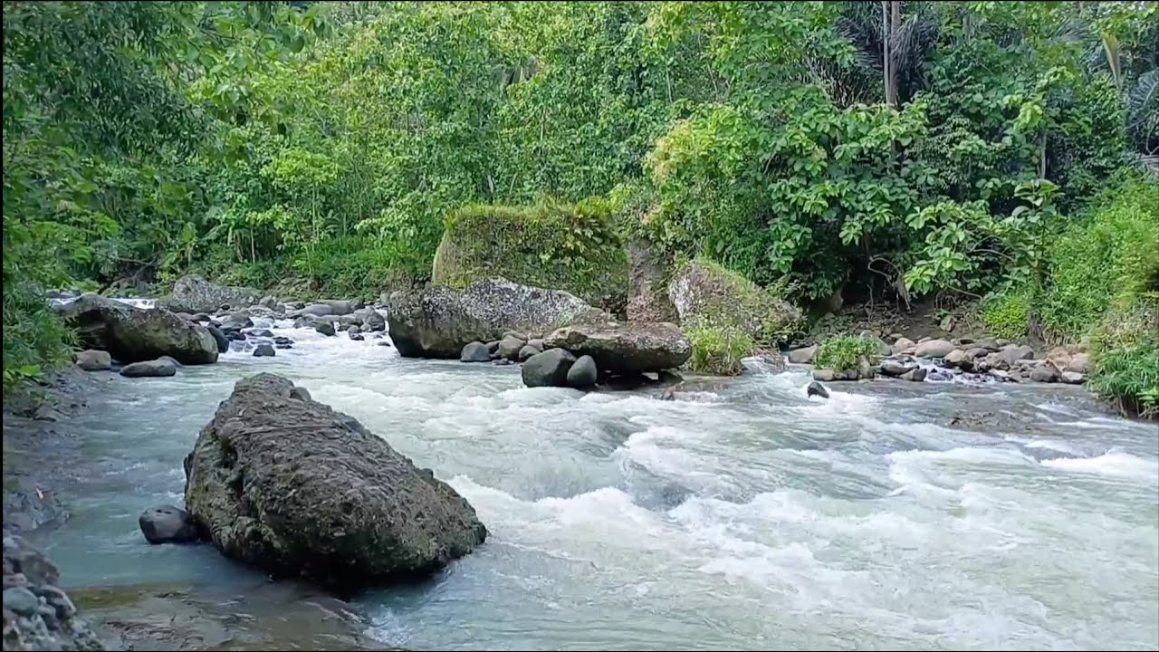 Peaceful River Sounds for Deep Relaxation  Calming Water Ambience.