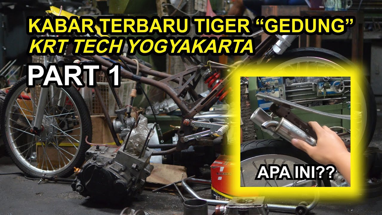 (PART1) KABAR TERBARU TIGER 