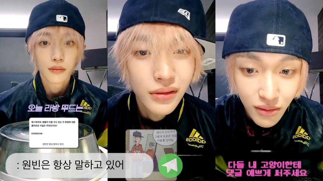 원빈은 항상 말하고 있어가 진짜였어요..!! | 251208 위버스 라이브