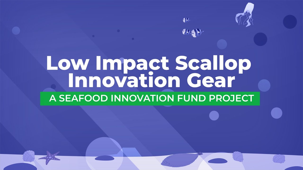 LISIG project - scallop dredge gear innovation project
