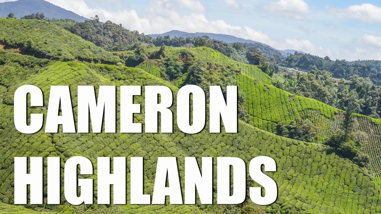 THE BEST OF CAMERON HIGHLANDS - MALAYSIA'S BUCKET LIST