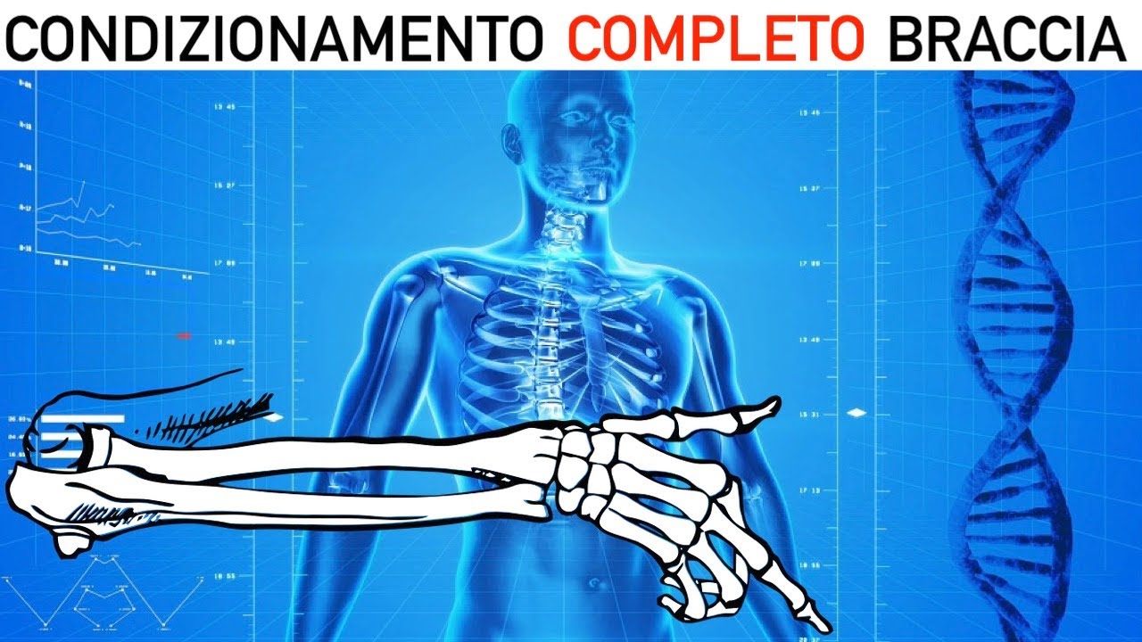 CONDIZIONAMENTO COMPLETO BRACCIA - Esercizi in casa e senza attrezzi!