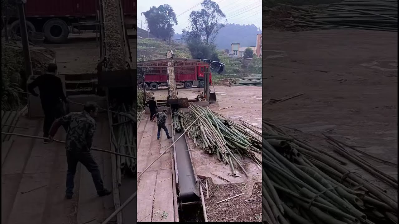 I bet you’ve NEVER seen wood processed this way... 🛠️