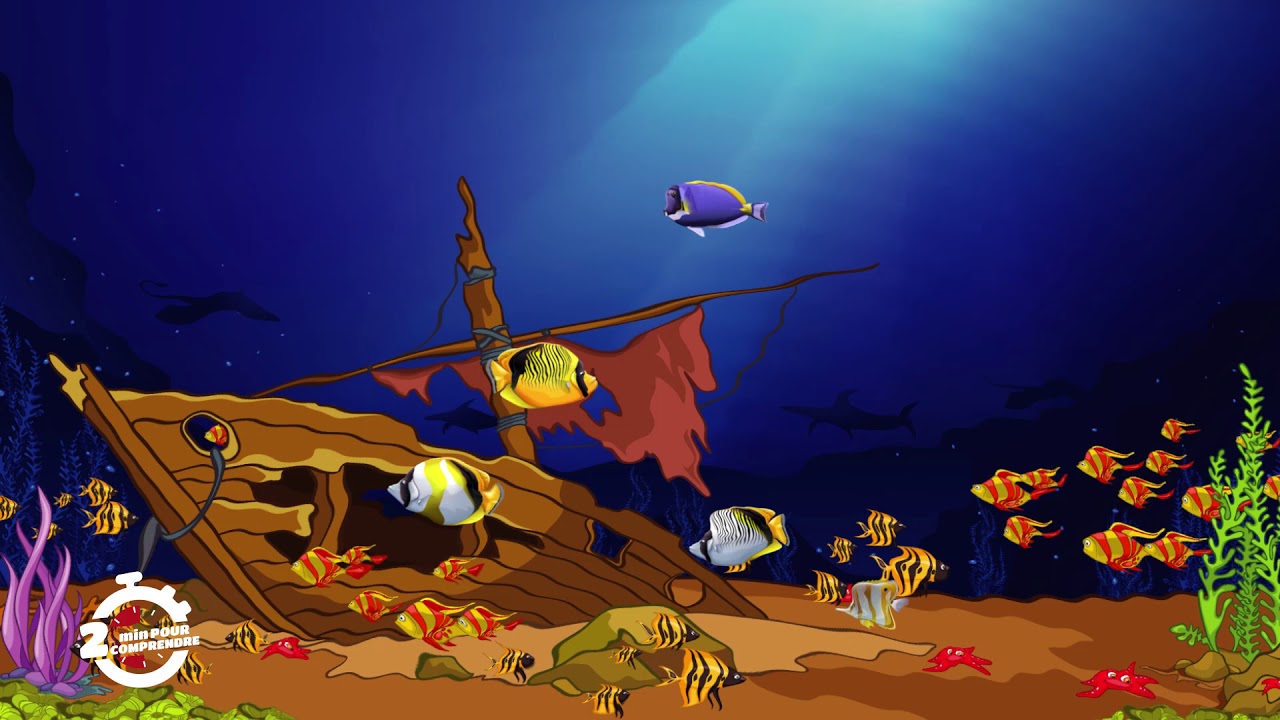 2mn pour comprendre L'OCEANOGRAPHIE du vendredi 29 Mai 2020