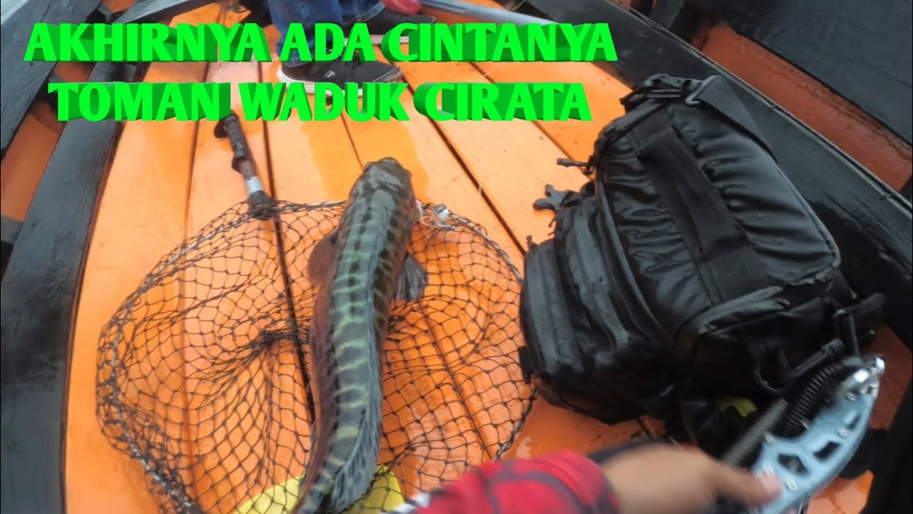 AKHIRNYA ADA CINTANYA STRIKE TOMAN WADUK CIRATA 