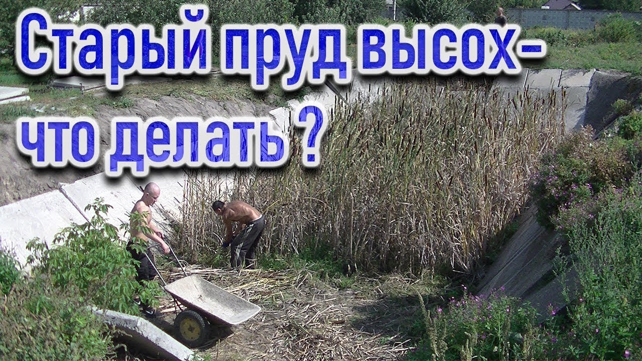 Старый пруд высох - что делать ?