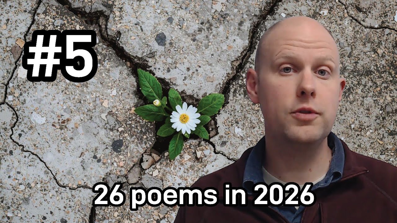 #5 of 26: 