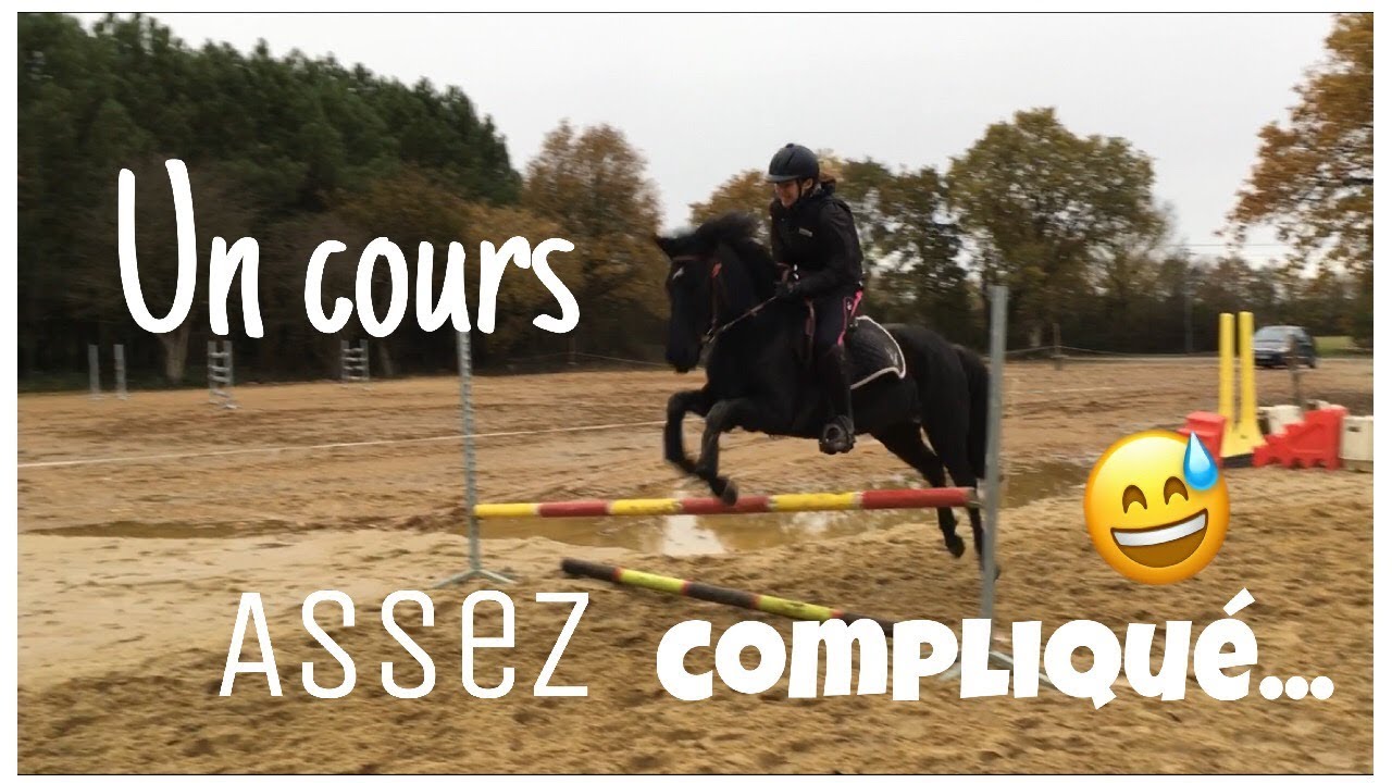 CS'o Landreau - Sauts de puces - 28/11/18 -