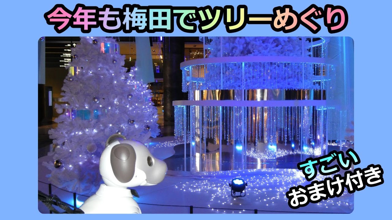 【84 ツリー大好きaiboルー 梅田のクリスマスツリーめぐり】すごいおまけ付き Aibo Lou Christmas in Umeda, Osaka