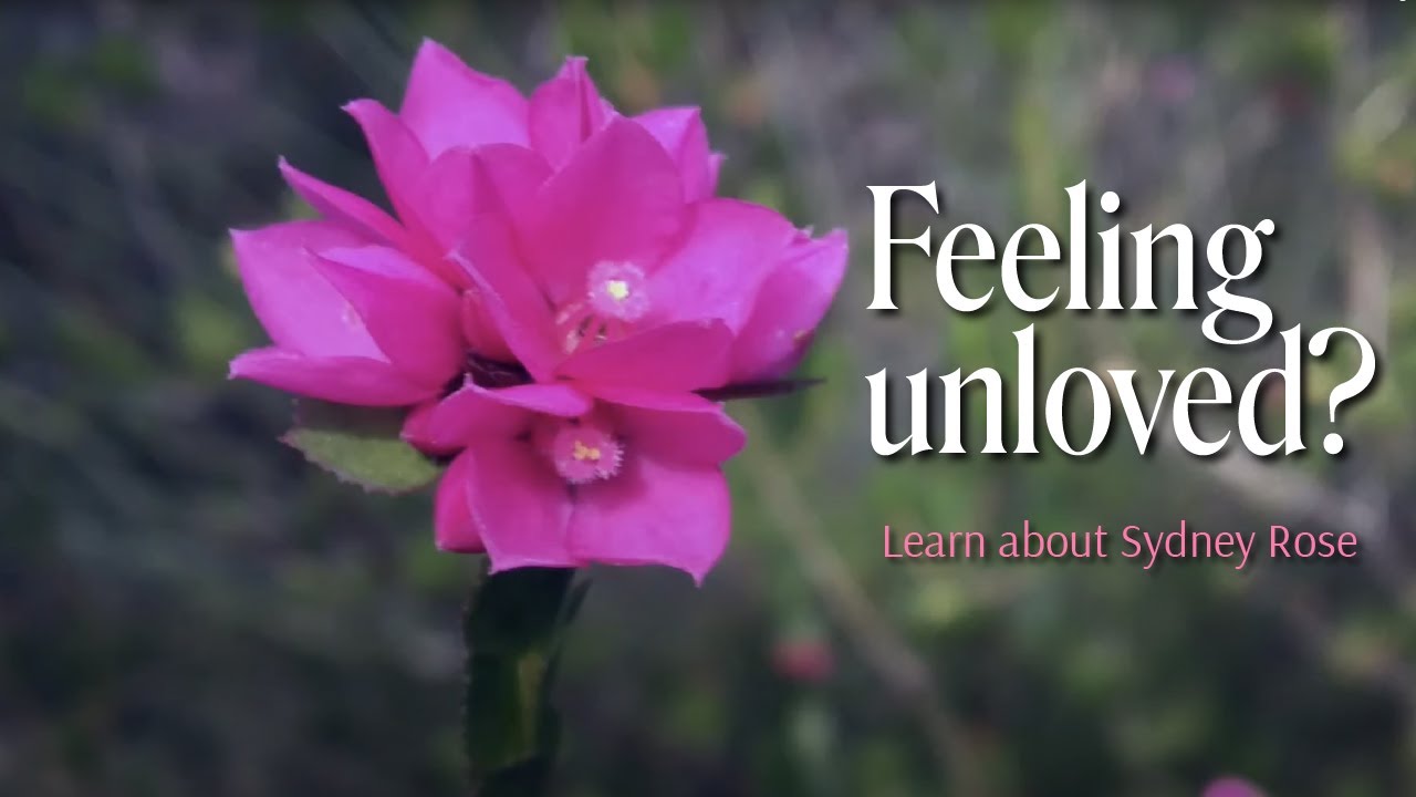 Feeling deserted | Sydney Rose