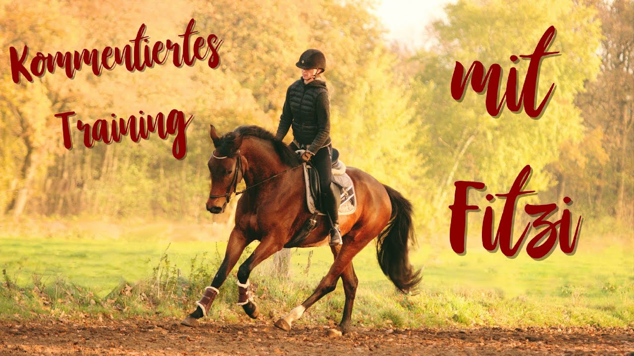 Ich reite mein 3j. Pferd I Kommentiertes Training I Ausbildungsskala I Jungpferdeausbildung I #13/20