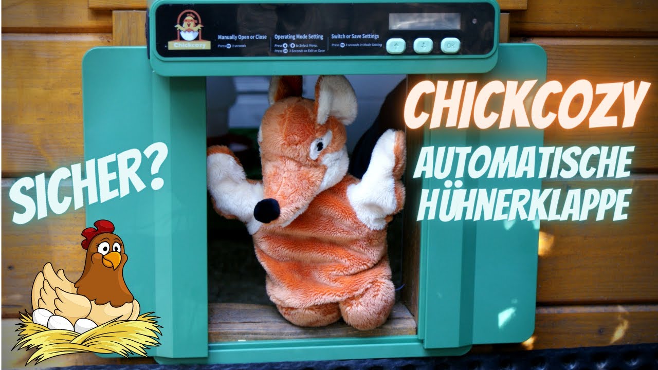 Hühner Tipp 36 - Chickcozy automatische Hühnerklappe im Test  - automatic chicken coop door