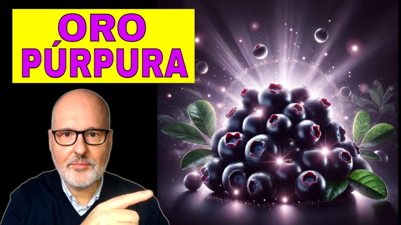 A&Ccedil;AI: el SUPERALIMENTO AMAZ&Oacute;NICO para tu CORAZ&Oacute;N, PIEL y DIGESTI&Oacute;N