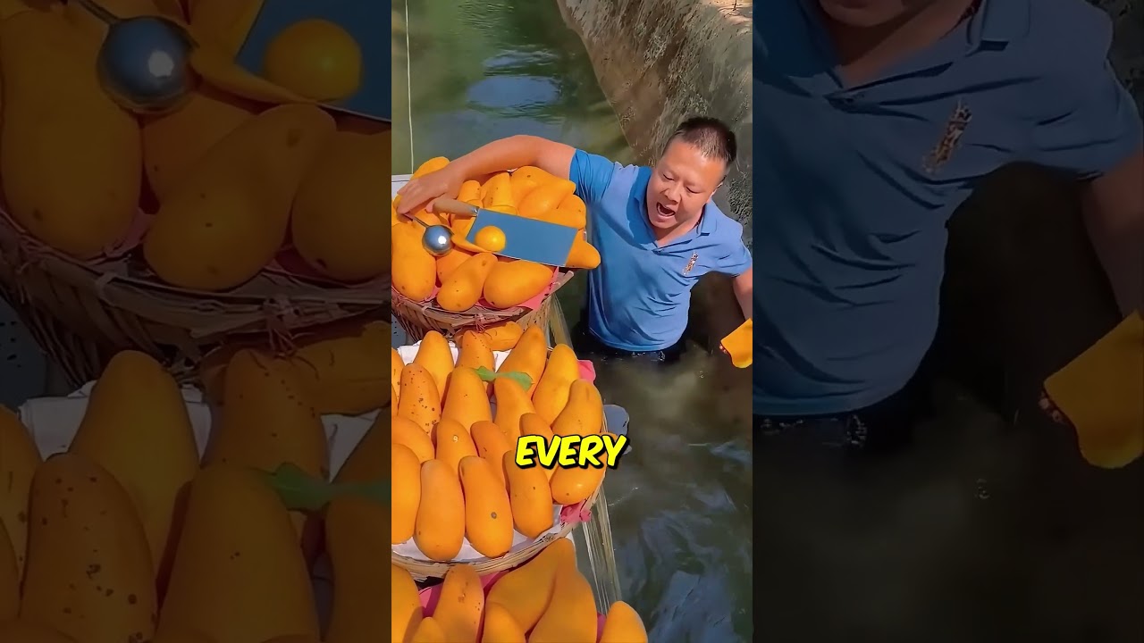 Big Juicy Chinese Mangos🥭