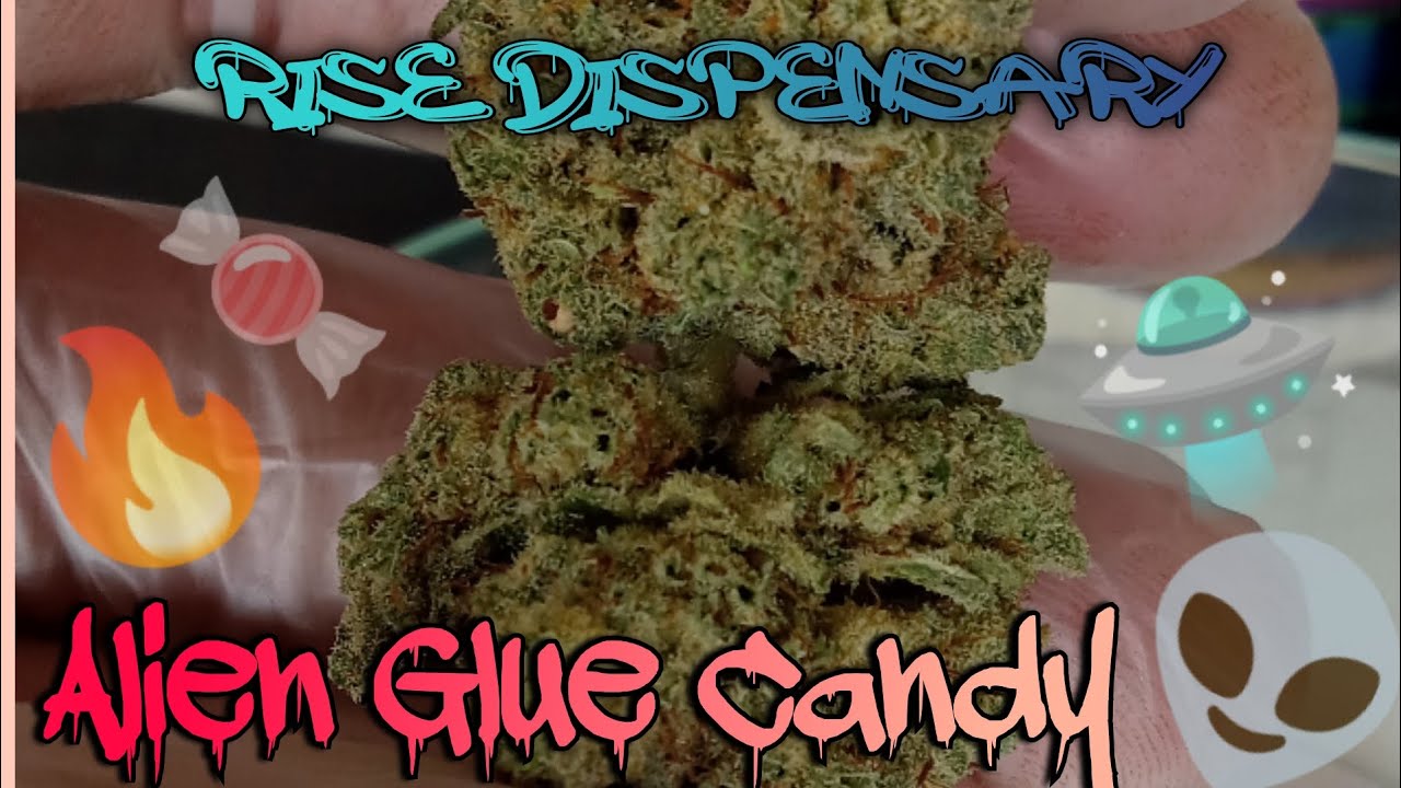 #88 Alien Glue Candy (Official Video Product Review ) Rise Dispensary Product