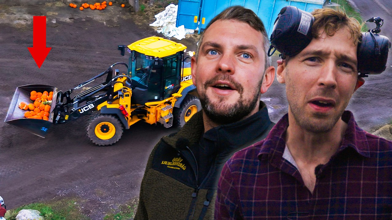 OTROLIGT experiment p&aring; Bondg&aring;rden. Kommer kossorna gilla det?