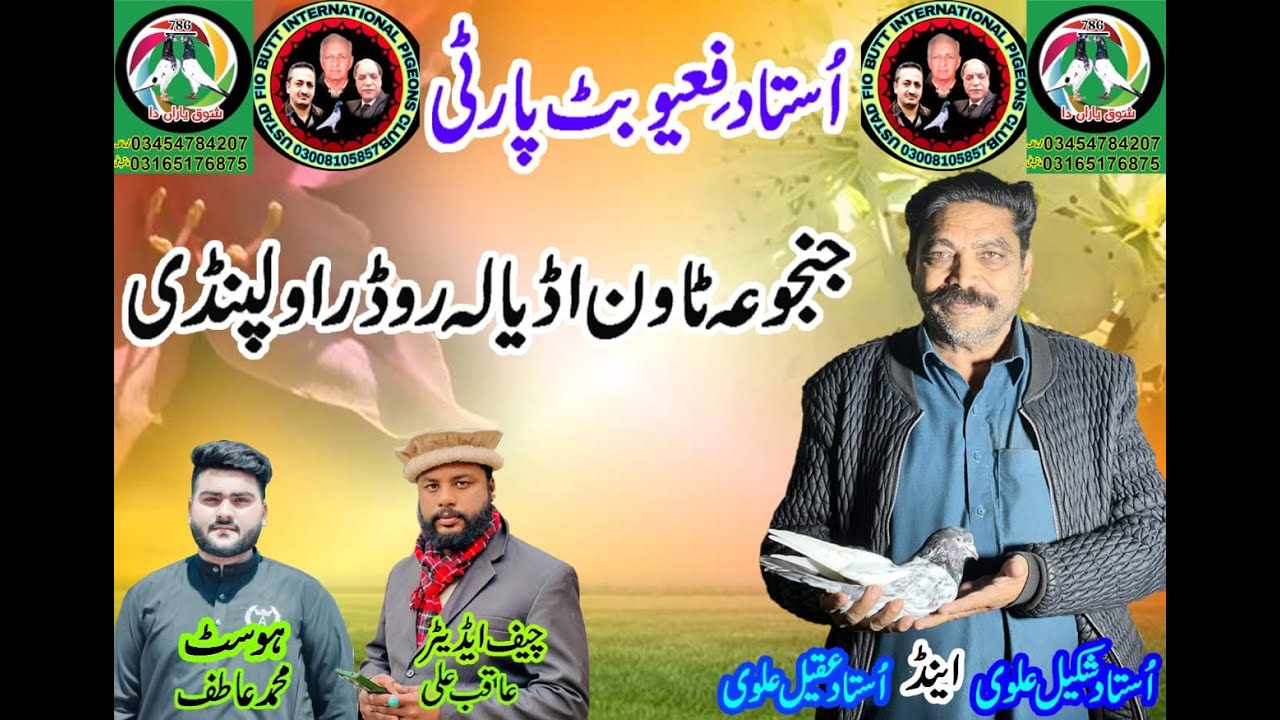 Ustad shakeel alvi Of Adyala Road |Ustad Fio Butt International Pigeon club|#kabotar  #kabotar_baazi