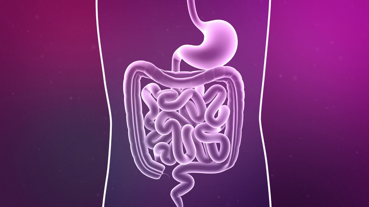 Science Animation - Synbiotics and Infant Health