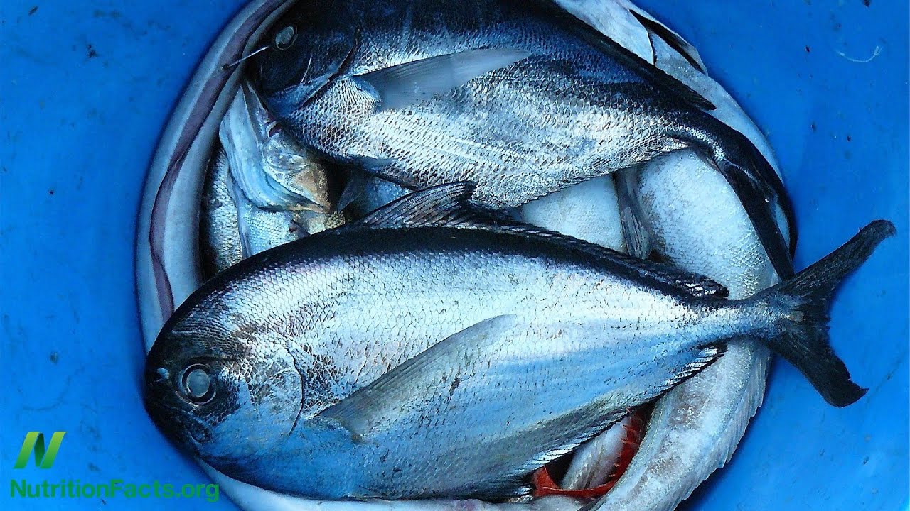 Omega 3s, Prostate Cancer, and Atrial Fibrillation