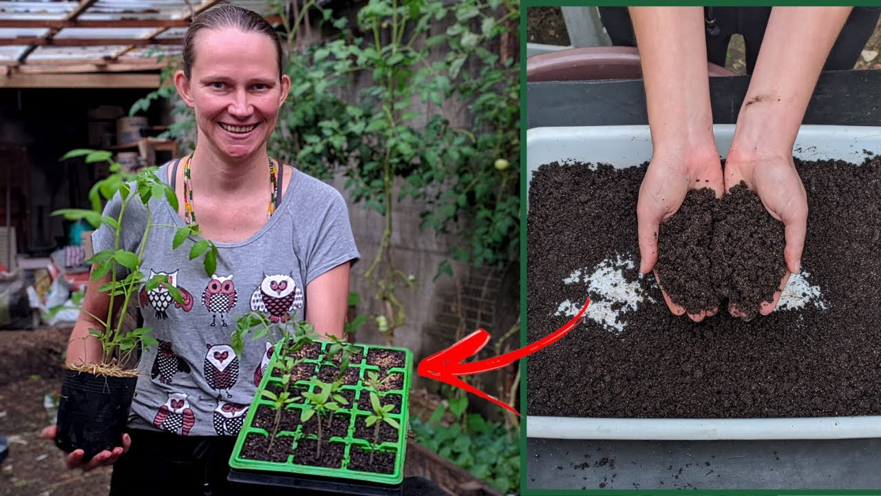 Como Fazer Mudas para sua Horta em Casa - Passo a Passo 🥦 Como fazer Substrato para Mudas