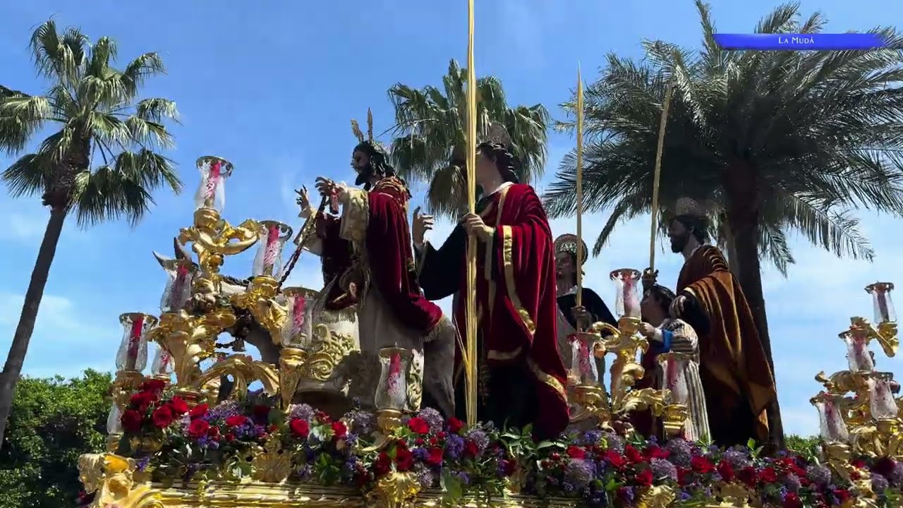 VC: HERMANDAD DE LA BORRIQUITA | DOMINGO DE RAMOS | CÁDIZ 2025