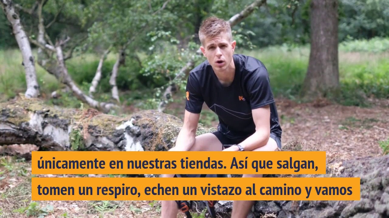 &iquest;C&oacute;mo Empezar a Practicar Canicross?