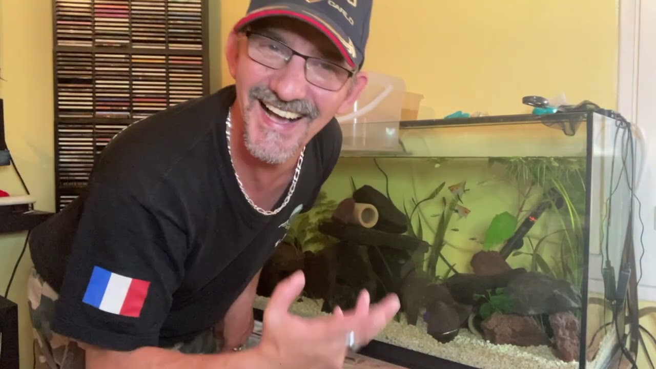 Episode N°7-Intégration de Coreydoras, otocinclus et Scalaire dans mon 250L