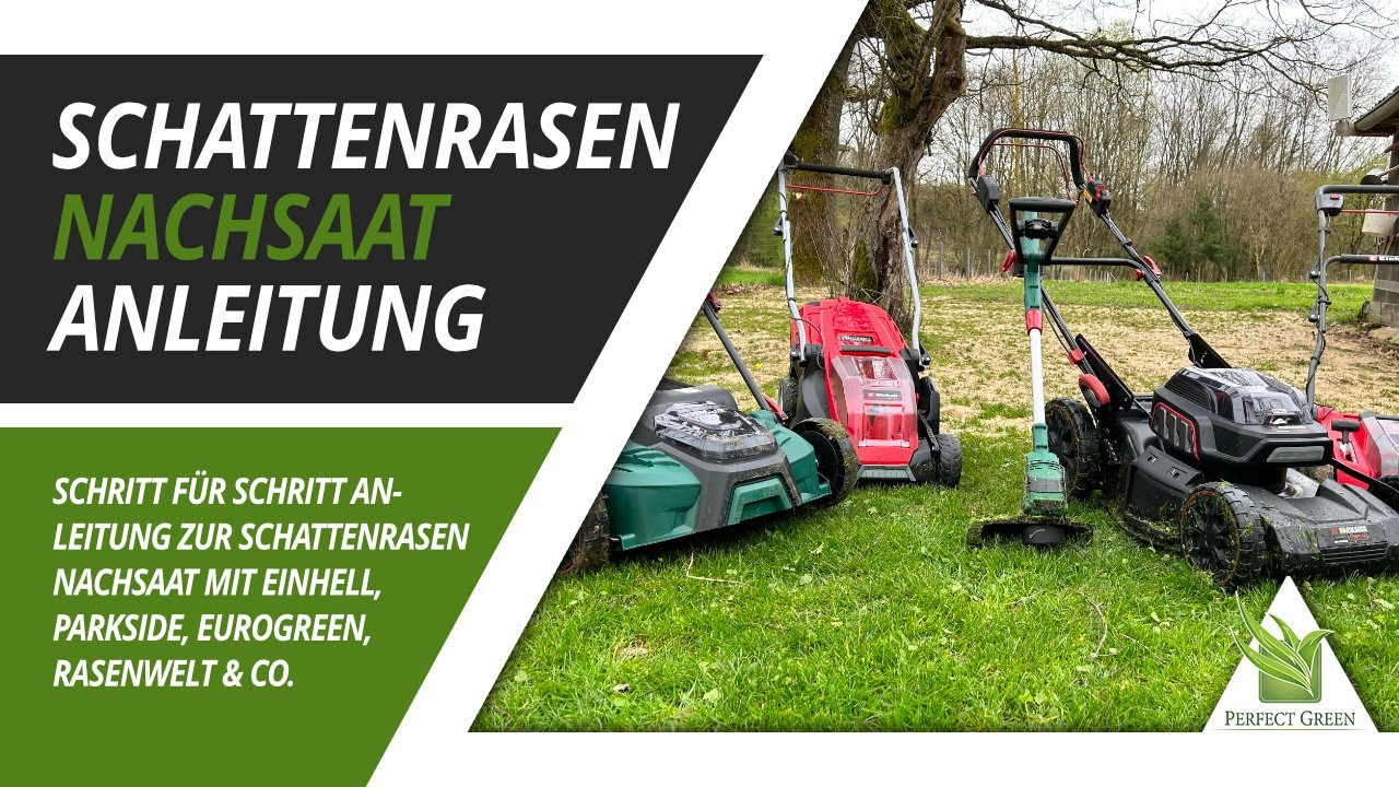 🌱 Schattenrasen Nachsaat mit Einhell & Parkside Geräten | Mähen Vertikutieren Säen Sanden Düngen🌱