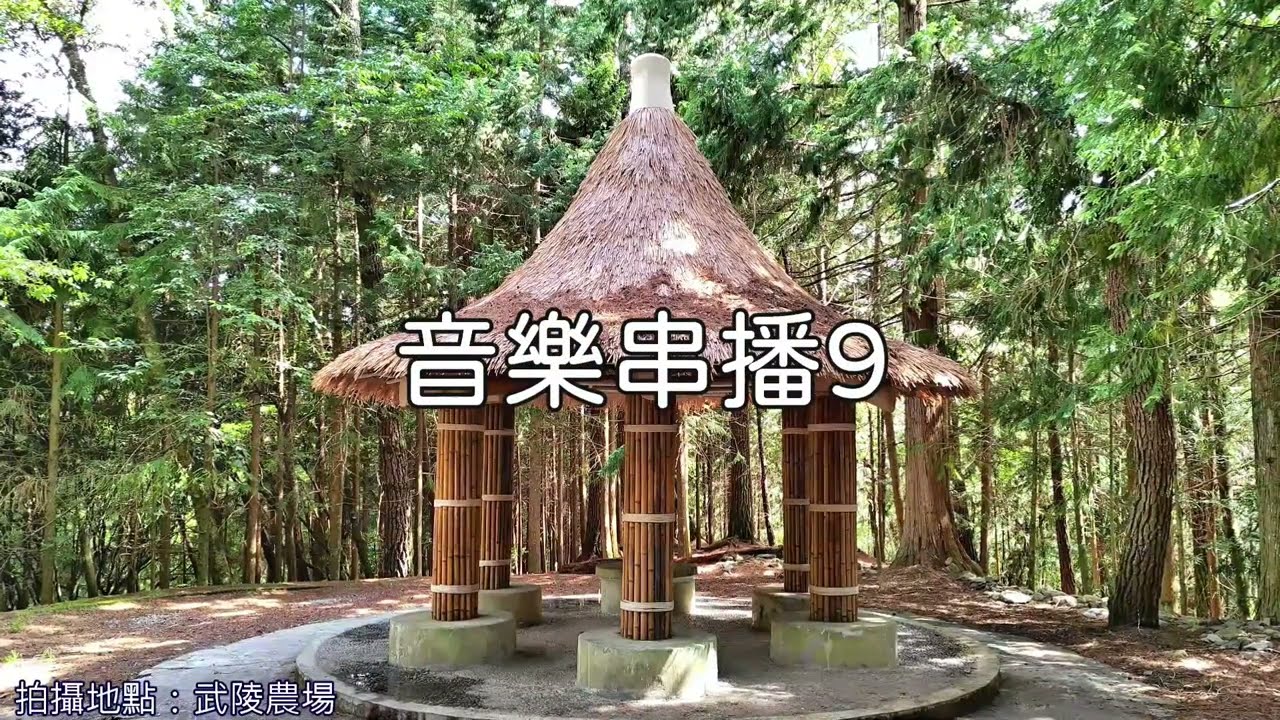 放鬆身心 輕音樂合輯 RELAX MUSIC