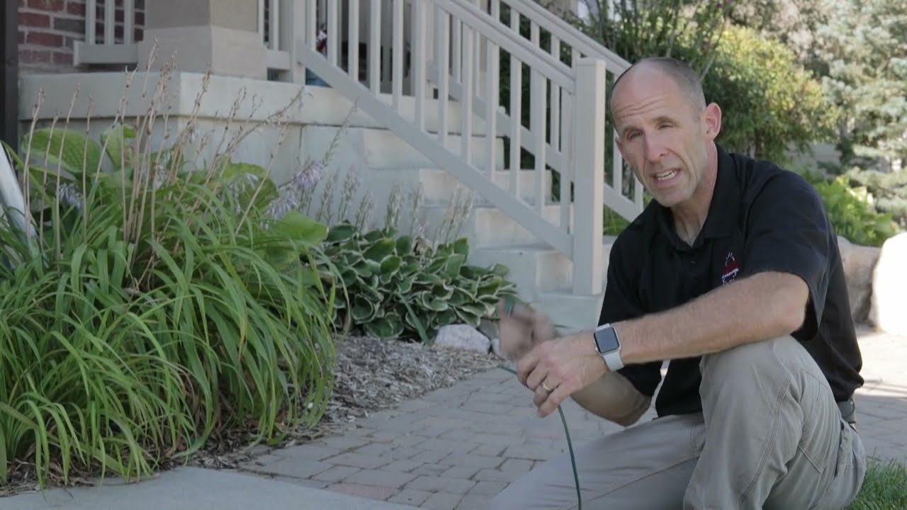 Installing Male & Female Plugs for Christmas Lights &ndash; Easy Guide
