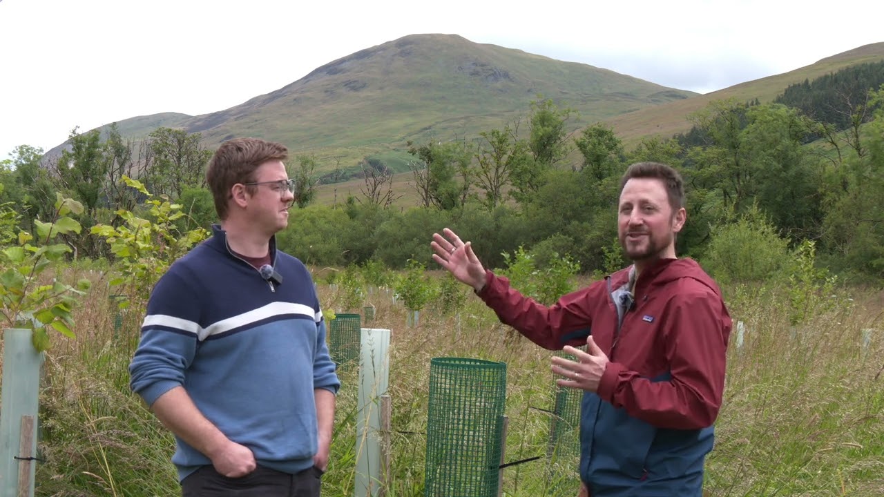 The Dumfries & Galloway Tree Planting Grant Scheme